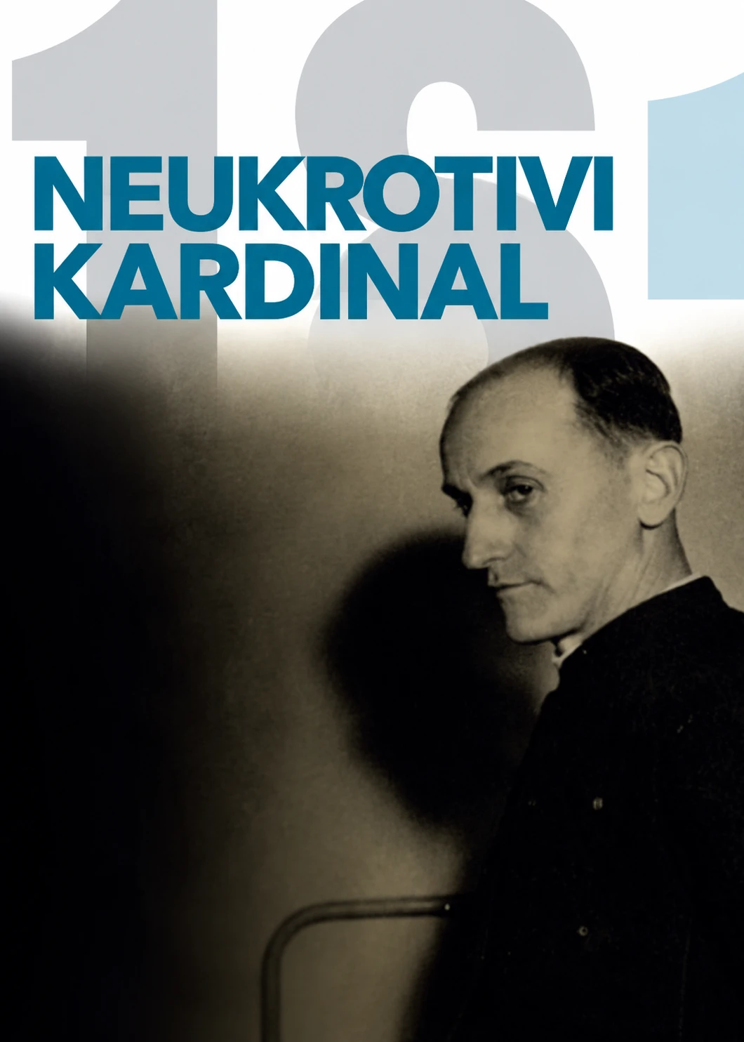 Neukrotivi kardinal project image