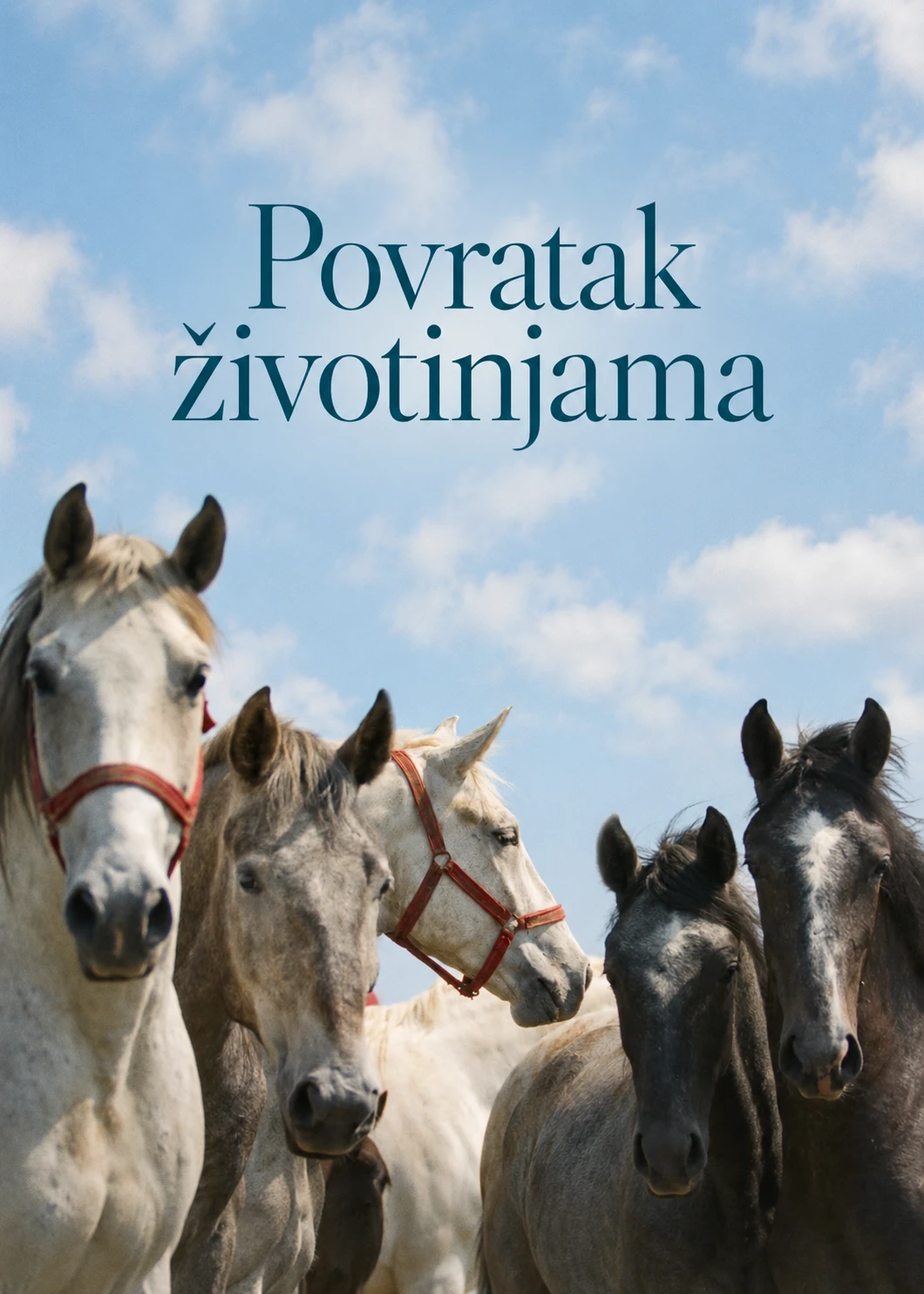 Povratak Životinjama project image